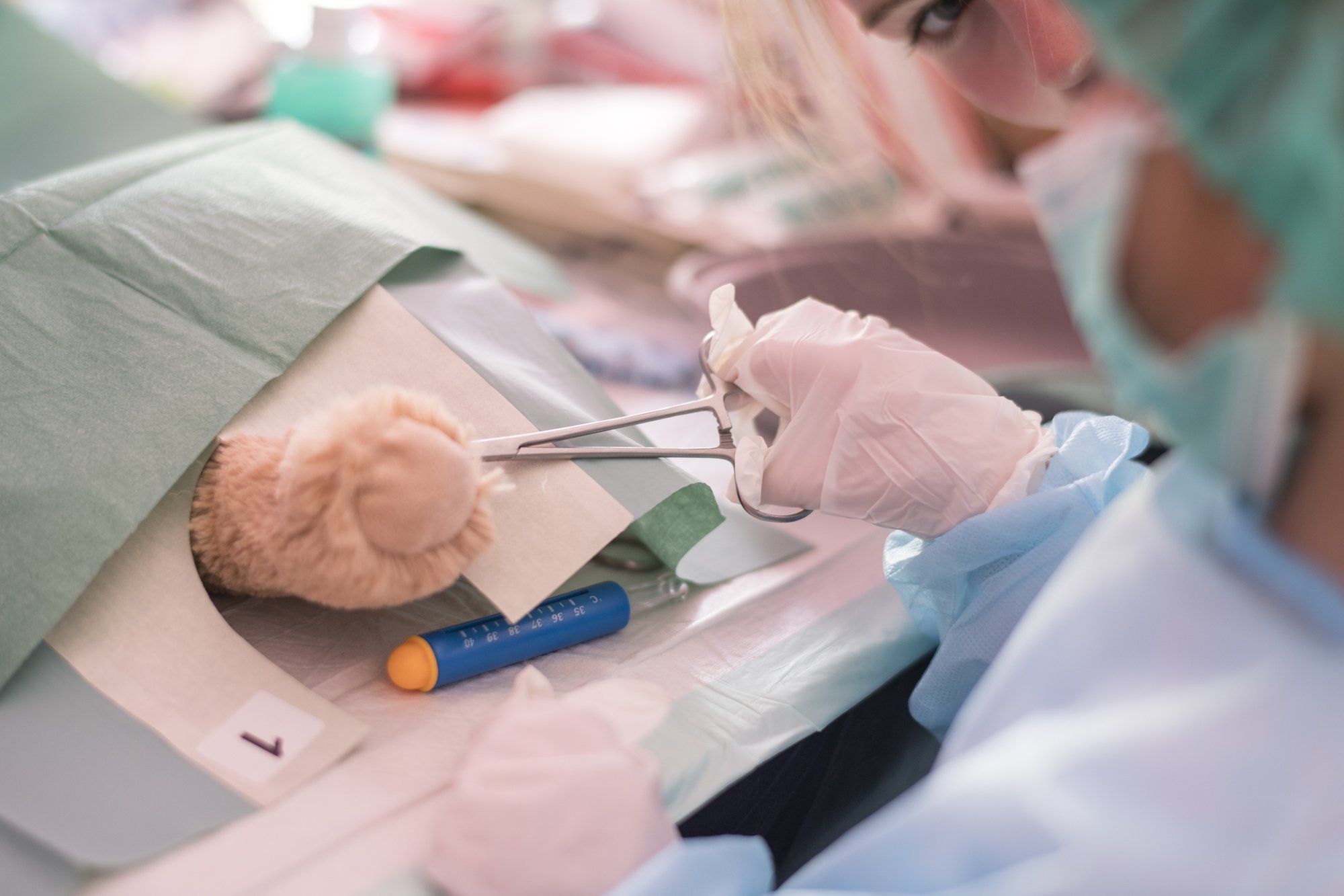 Teddyklinik am Gemeinschaftskrankenhaus